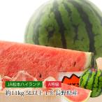 すいか 長野県産 松本ハイランドすいか A等級 5Lサイズ以上 約11kg 1玉