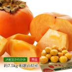  хурма вид нет хурма Wakayama префектура производство превосходящий товар примерно 7.5kg 32~40 шар 