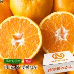 ショッピング果物 みかん みなの共選のみかん 愛媛県産 秀品 約3kg SSサイズ 約40個 小玉 小粒