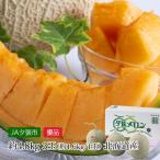  дыня .. дыня Hokkaido производство super товар 3 шар 