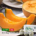 メロン 北海道産 夕張メロン 良品 3玉