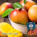 マンゴー メキシコ産 ヴィーナスマンゴー 約7kg 10〜14玉