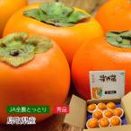  хурма блестящий Taro Tottori префектура производство превосходящий товар 8~12 шар 