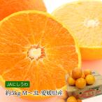 みかん あいか 愛媛県産 愛果 約5kg M〜3Lサイズ 16〜30玉