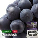  виноград Okayama префектура производство Aurora черный вид нет превосходящий товар примерно 2kg 4~5.