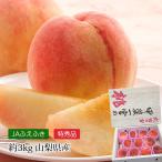 桃 山梨県産 甲斐一宮の桃 特秀品 約3kg 9〜12玉
