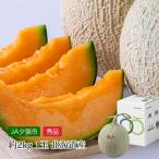 メロン 北海道産 夕張メロン 秀品 約2kg 1玉