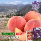 桃 山梨県産 粒ぞろい 特秀品 約1.5kg 5〜7玉