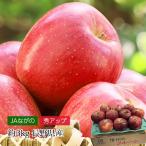  яблоко JA.... яблоко Nagano префектура производство превосходящий выше примерно 3kg 9~12 шар 