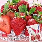 いちご あまおう 福岡県産 DX 2パック
