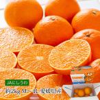 みかん あいか 愛媛県産 約2kg M〜4Lサイズ 6〜13玉 紅まどんなと同品種