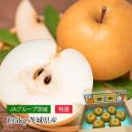 梨 恵水 茨城県産 特選 約5kg 8〜12玉