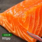  salmon лосось магазин. ... завершено форельный лосось 300gup 1 листов 