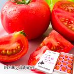 トマト 北の極 北海道下川町産 約700g 8〜15玉