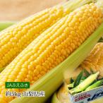 とうもろこし 山梨県産 ゴールドラッシュ 約5kg 12本
