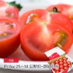 トマトアメーラ長野県産静岡県産高糖...