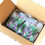 ヘアリーベッチ　10kg　送料無料　緑肥・景観・ハチミツ取り　緑肥の種