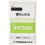 [ outlet ] черный треска задний товар вид название :nemakoroli1kg[ иметь временные ограничения действия 2025 год 10 месяц поэтому ] снег печать вид рассада 