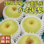 かおり梨 千葉県産 9〜18玉 約5kg 送料無料 ご予約 高級梨 希少品種 訳あり品ではございません