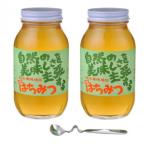 鈴木養蜂場　はちみつ　大瓶2本セット(菜の花1.2kg、レンゲ1.2kg、はちみつスプーン) 送料無料