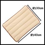 ホット＆スチームパッド LLサイズ F20908 送料無料 日本郵便ゆうパックお届け パッド 温め レンジ あったか 温か 蒸気 ビーズ 温熱 蒸しパッド 腰 背中 肩 冬