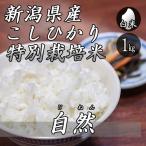 お米 1kg 新潟産 コシヒ