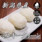 お米 10kg 新潟産 ミルキークイーン 5kg×2袋 送料無料 令和5年産 米 白米