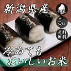 お米 5kg 新潟産 冷めてもおいしいお米 5kg×1袋 送料無料 令和5年産 米 白米