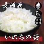 お米 5kg 新潟県長岡産 いのちの壱 5kg×1袋 送料無料 令和6年産米 白米