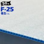 第一大宮 養生くん F-25 床壁養生材 発泡ポリエチレン付きプラダン 厚さ3.5mm/910mm×1820mm 30枚