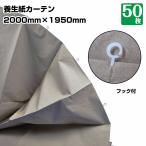 日除け 養生紙カーテン(茶) 2000×1950 50枚 クレープ紙 フック付き 日焼け防止 変色防止 養生 畳