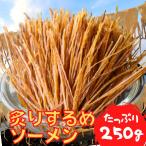 炙り するめソーメン 250g 【 送料無料 】 スルメソーメン いかソーメン いかそうめん するめそうめん 駄菓子 するめいか 業務用 おしゃぶりするめ メガ盛り