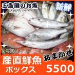 よか魚の選べる天然鮮魚ボックス5500 産直新鮮！社長イチ押し鮮魚セット！ 九十九島鮮魚