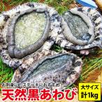 天然黒アワビ 大サイズ 計1kg (1枚200g以上の食べ応え満点サイズを3枚〜5枚) 送料無料 よか鮑 黒アワビ