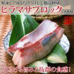 長崎産ヒラマサ(養殖または天然) 刺身用ブロック500g (3人前前後)  プロトン凍結