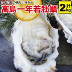 高島一年若牡蠣（殻付き）計2kg(20個前後) 九十九島 生食 殻付かき 真牡蠣 九十九島かき 牡蠣 殻付き 生食 爆買