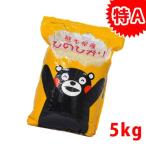 Yahoo! Yahoo!ショッピング(ヤフー ショッピング)【送料無料】令和5年　熊本県城北産ヒノヒカリ　精白米5kg　おいしいお米　　米　5kg　送料無料