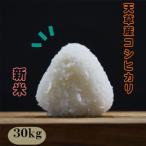 【新米】令和2年　熊本県天草産 コシヒカリ　玄米30kg(10kg×3袋)/精米27kg(9kg×3袋)【送料無料】【米　30ｋｇ】