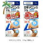 ショッピングロキソニン 第2類医薬品 ロキソニンSゲル 25g 2個セット 肩 腰 関節 筋肉の痛み 直接 浸透 塗る 痛み止め ゲル C:4987107617903