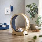 キャットホイール 猫 ノイズなし l 運動器具 ストレス解消グッズ DC-WHEEL