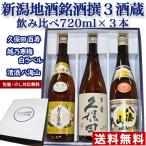 日本酒 飲み比べセッ