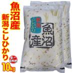 ☆五つ星お米マイスター厳選米 令和6年産 魚沼産 コシヒカリ10kg (5kg×2) (産地直送米) 白米 低温倉庫管理米 米 10kg 新潟米