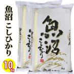 ショッピング米 10kg 新米 お米 米 10kg (5kg×2) 新潟県 新米 魚沼産 コシヒカリ 送料無料 令和7年産 (新潟産直米) 白米 精米仕立て 低温倉庫管理米 新潟米