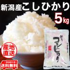 ショッピング米 ☆五ツ星お米マイスター厳選米 令和5年産 新潟県産 コシヒカリ 5kg 白米 食味分析80点以上 新潟コシヒカリ 精米仕立て 低温倉庫管理 新潟 コシヒカリ お米 5kg