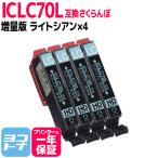 エプソン互換 プリンターインク IC70