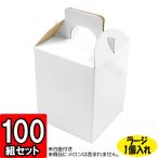 メロン箱 メロンの箱 化粧箱 ギフトボックス 紙箱 ギフト箱 フルーツ箱 果物箱 フルーツギフト 贈答用 青果 白つやあり ラージサイズ (1個入れ) (L) 100セット