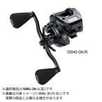  tail walk vi re year DG100HG-DH/L