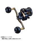 ダイワ 21 ソルティガIC 300-DH