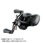 ダイワ 24スティーズ SV TW 100H 右巻き DAIWA（釣り） ダイワ 24STEEZ SV TW (スティーズ TW) 100
