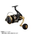 DAIWA（釣り） 23 BG SW 10000-H スピニングリール - 最安値・価格比較 